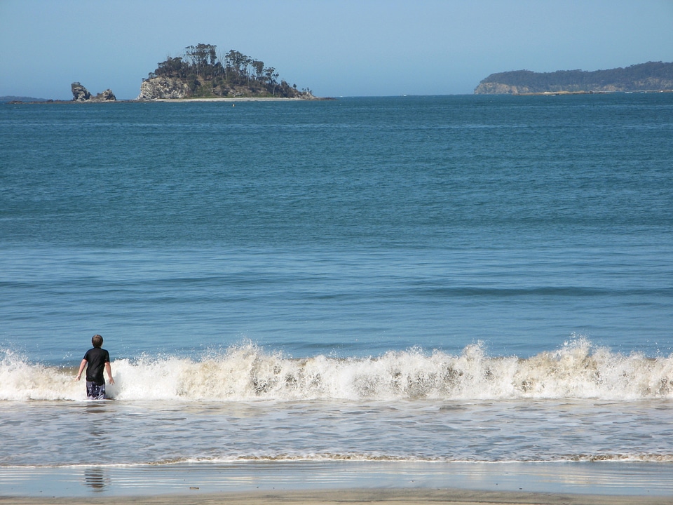 Island trees headland boy