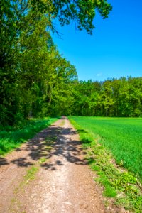 Road Path Nature Sky