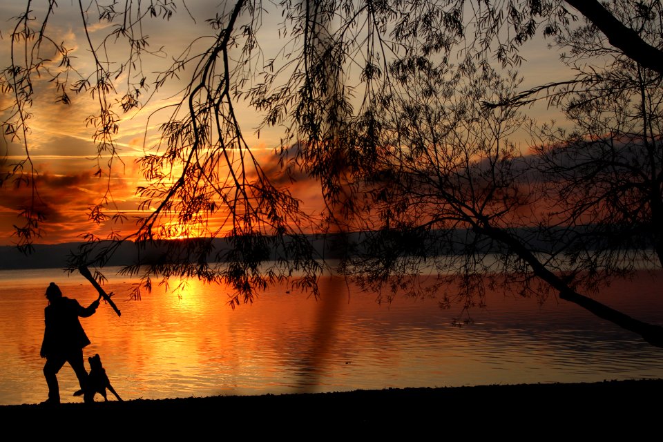 Silhouette Of Human And Dog Near Body Of Water