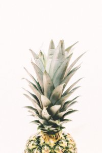 Photography Of Pineapple