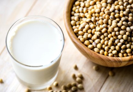 Soya Beans And Milk photo
