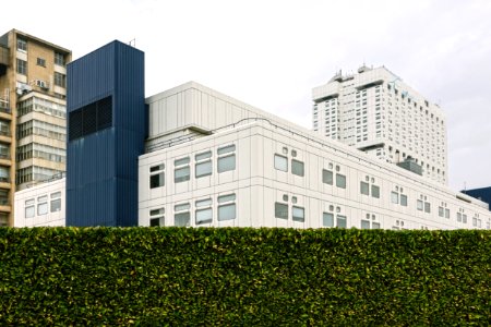 White And Blue High-rise Building Behind Bush Wall