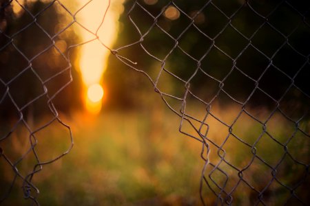 Gray Wire Fence photo