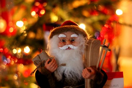 Christmas Santa Claus Christmas Decoration Facial Hair