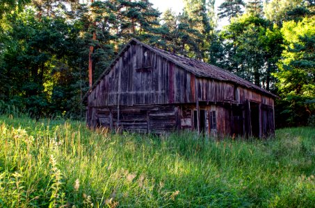 Barn Shack Nature Reserve Grass