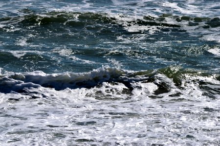 Wave Sea Water Wind Wave photo