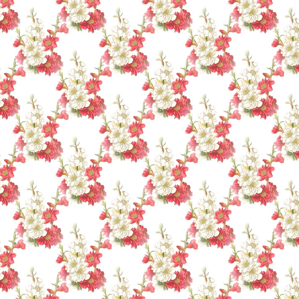 Pink Flower Blossom Petal
