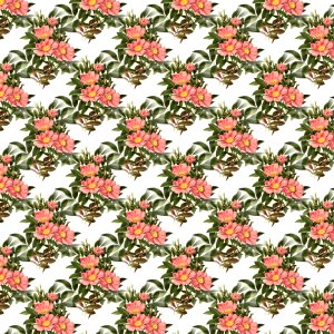 Flower Pattern Plant Leaf