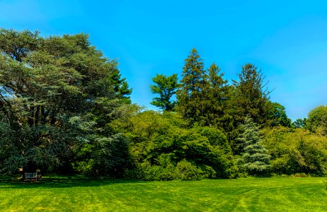 Vegetation Nature Ecosystem Sky photo