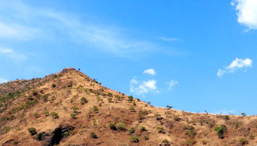 Sky Ridge Mountainous Landforms Vegetation photo