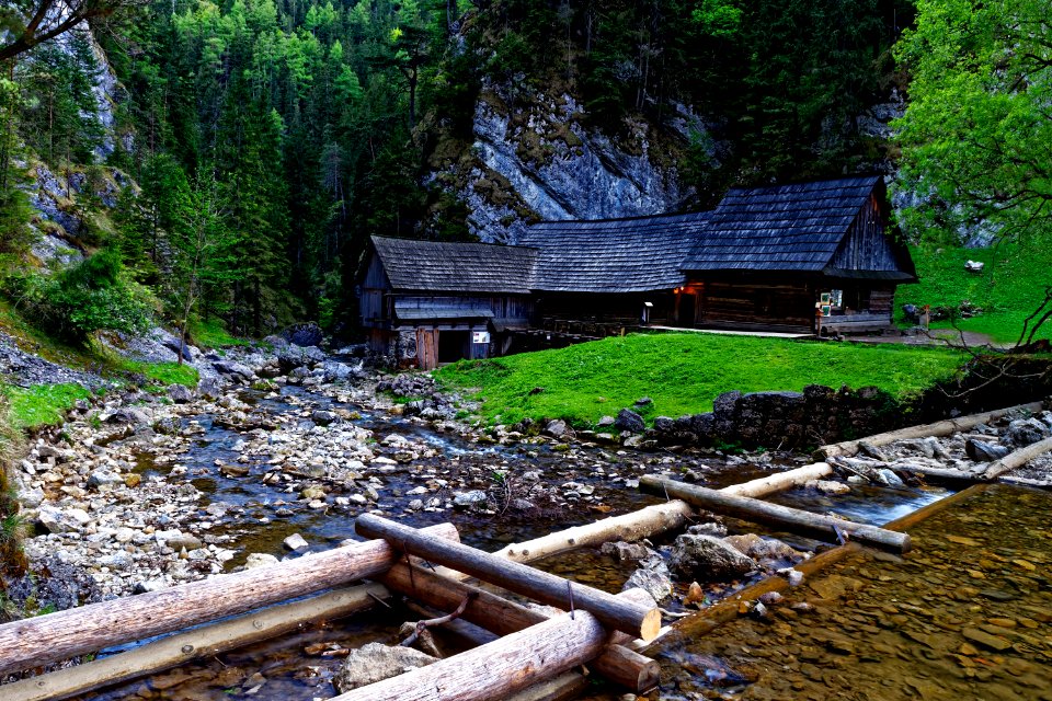 Nature Water Wilderness Stream