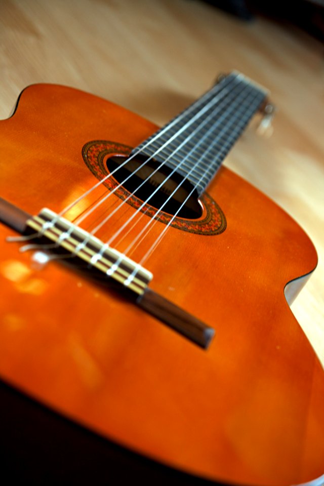 Musical Instrument Guitar String Instrument Bass Guitar