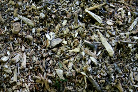 Scrap Waste Grass