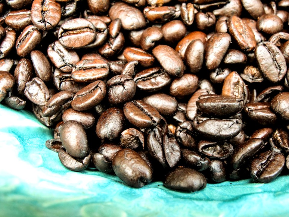 Jamaican Blue Mountain Coffee Bean Commodity