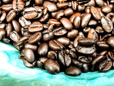 Jamaican Blue Mountain Coffee Bean Commodity photo