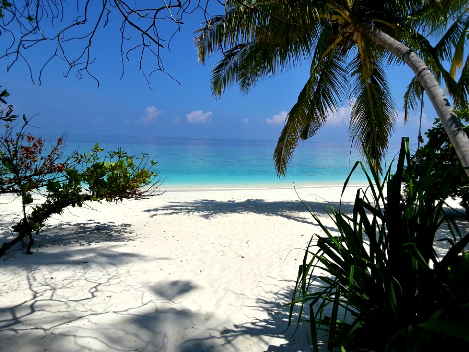 Tropics Body Of Water Sea Sky