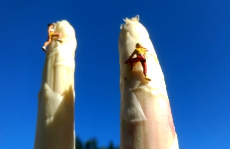 Hand Sky Finger