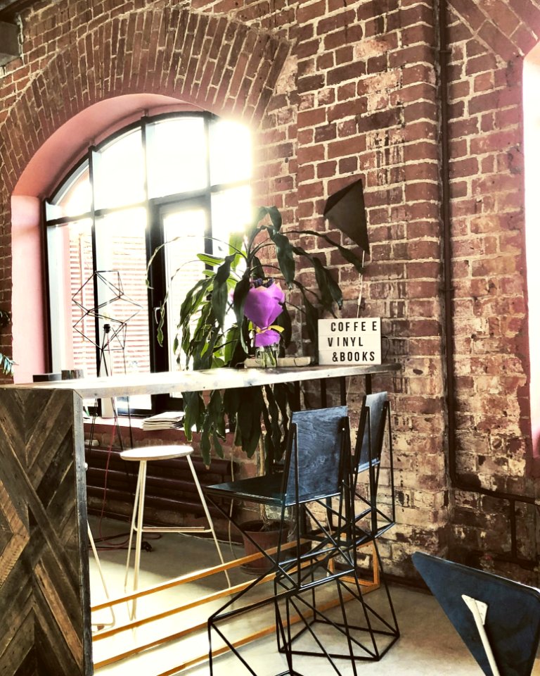 Purple Petaled Flower On Brown Wooden Table