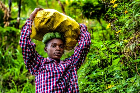 Person Wearing Plaid Shirt Carrying Sack Near Plants photo