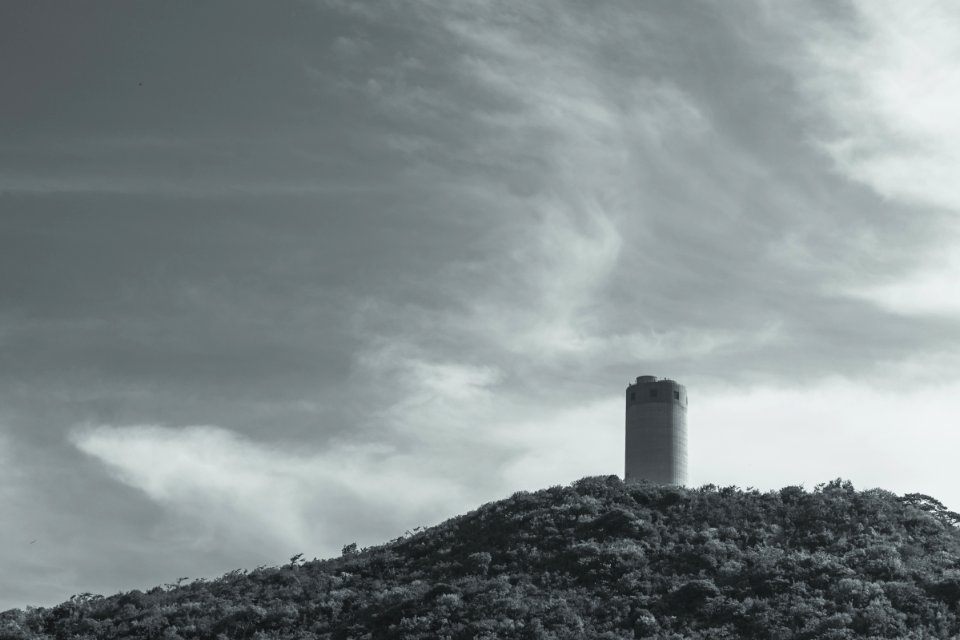 Grayscale Photography Of Tower Surrounded By Trees