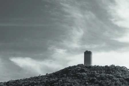 Grayscale Photography Of Tower Surrounded By Trees photo