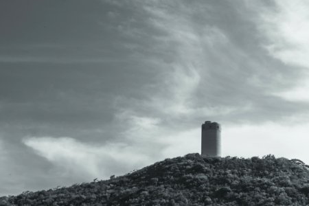 Grayscale Photography Of Tower Surrounded By Trees