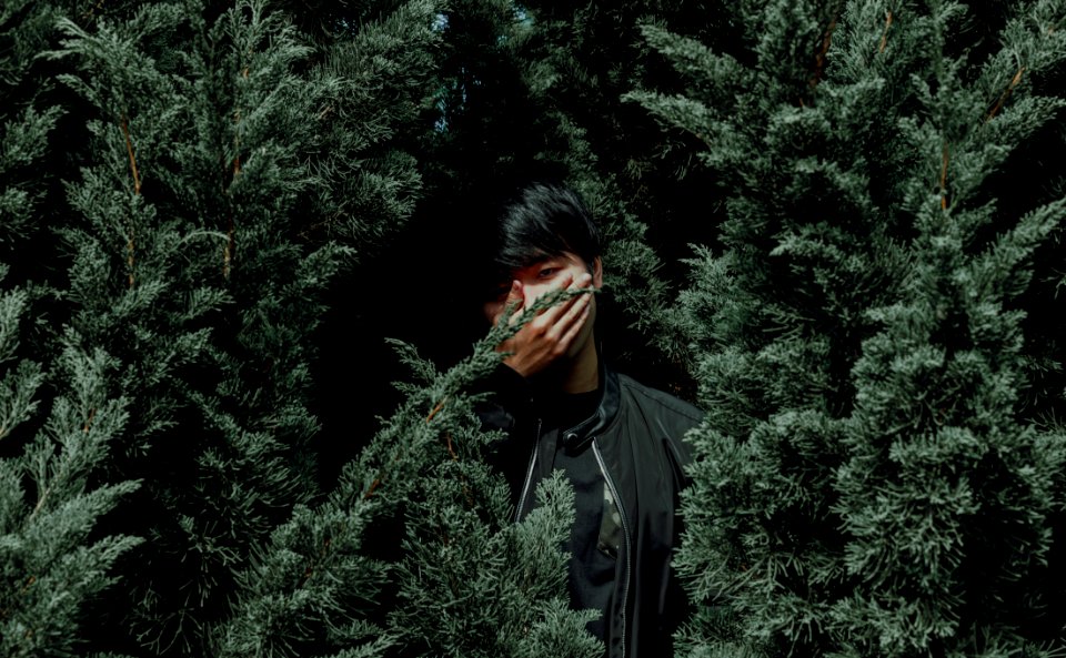 Man Wearing Black Jacket Between Tree