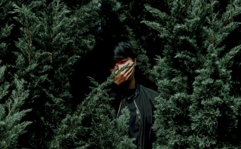 Man Wearing Black Jacket Between Tree photo