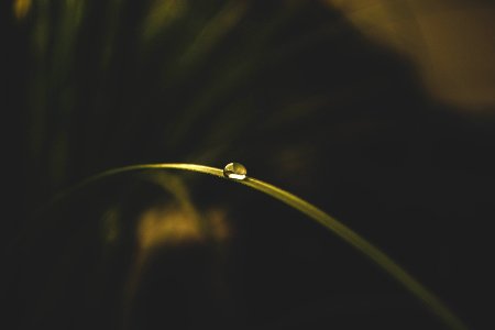 Selective Focus Photo Of Water Drop
