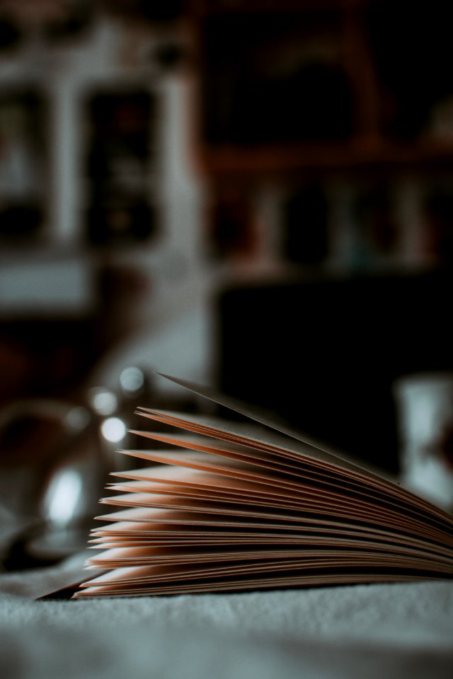 Opened Book