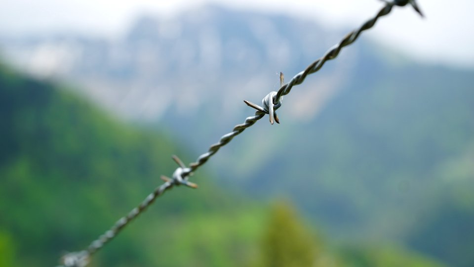 Branch Wire Fencing Twig Sky