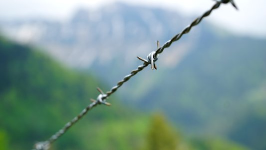 Branch Wire Fencing Twig Sky photo