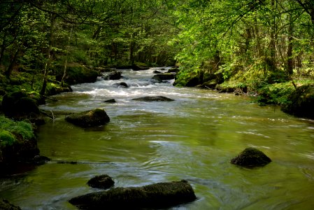 Stream Water River Nature