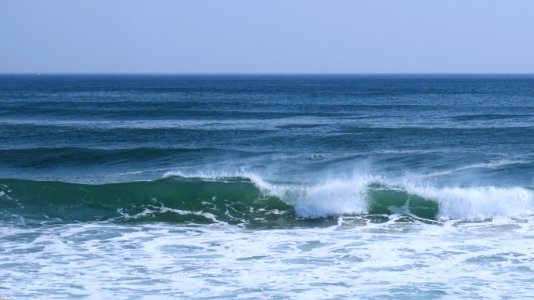 Wave Sea Wind Wave Ocean photo