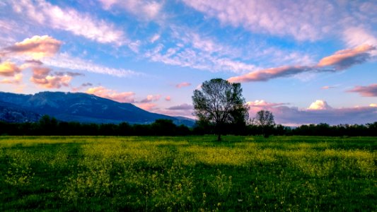 Sky Nature Grassland Field