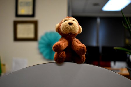 Stuffed Toy Teddy Bear Toy Plush photo