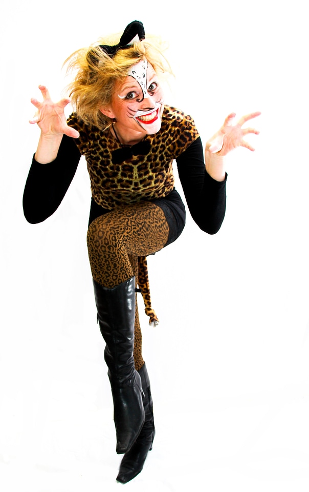 Tiger big cat dress up
