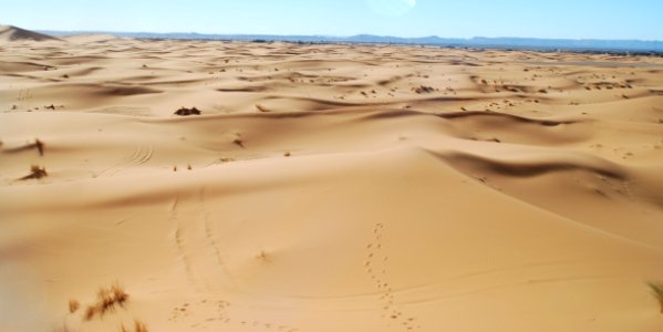 Erg Desert Aeolian Landform Singing Sand photo