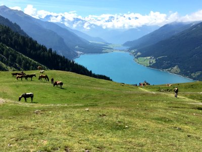 Grassland Pasture Mountainous Landforms Mountain Range photo