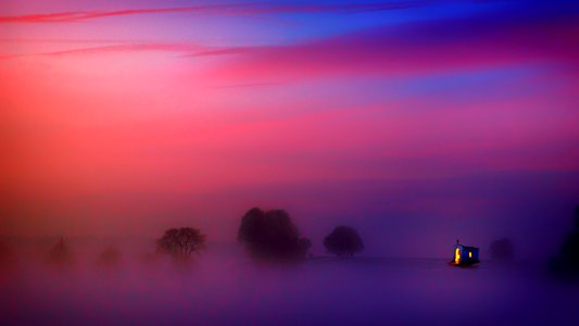 Photography Of Trees Covered With Fog