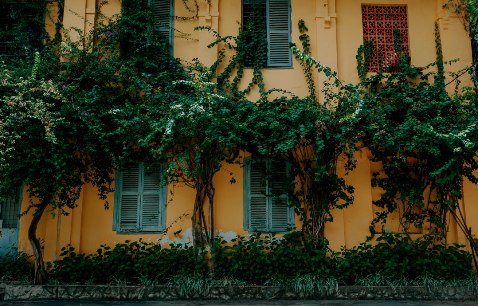Photo Of Facade Of Building