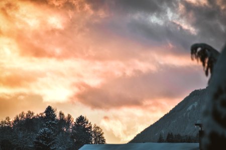 Mountain Surrounded By Trees photo