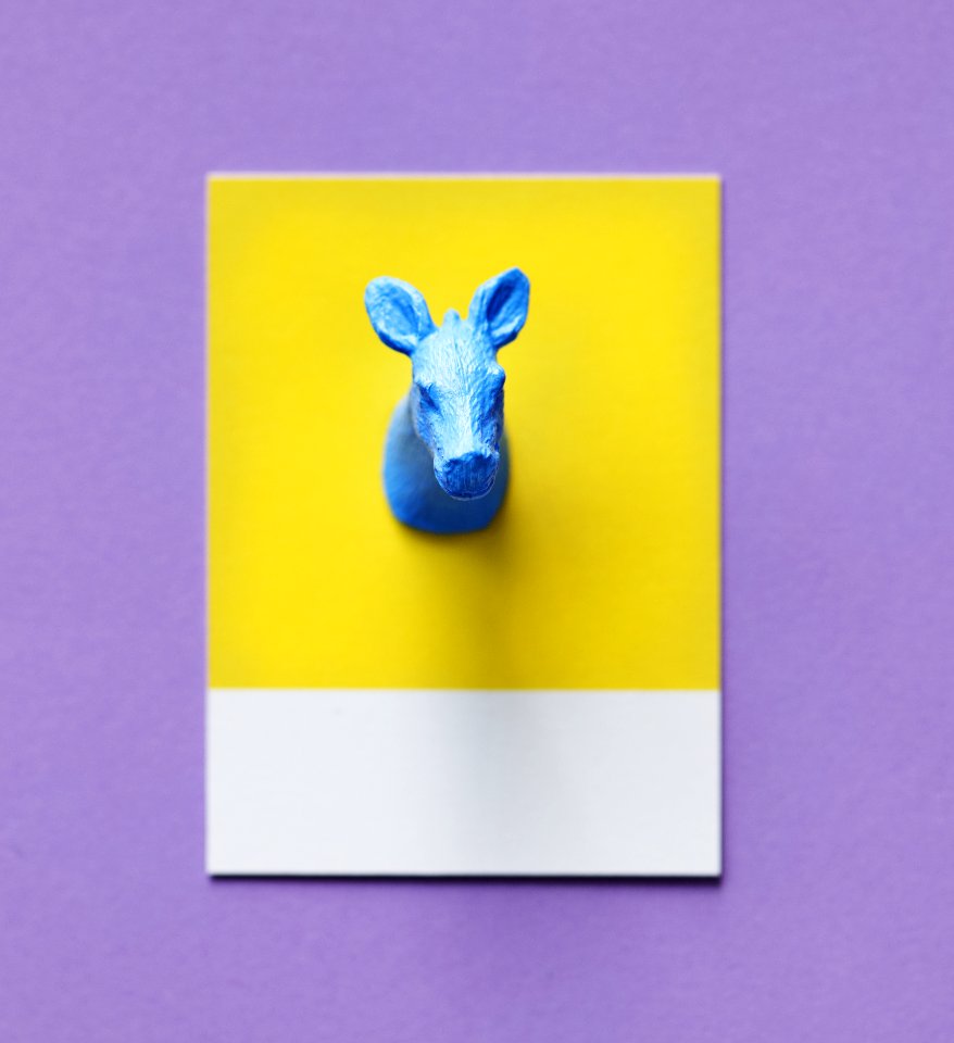 Abstract Animal Art