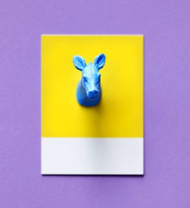 Abstract Animal Art