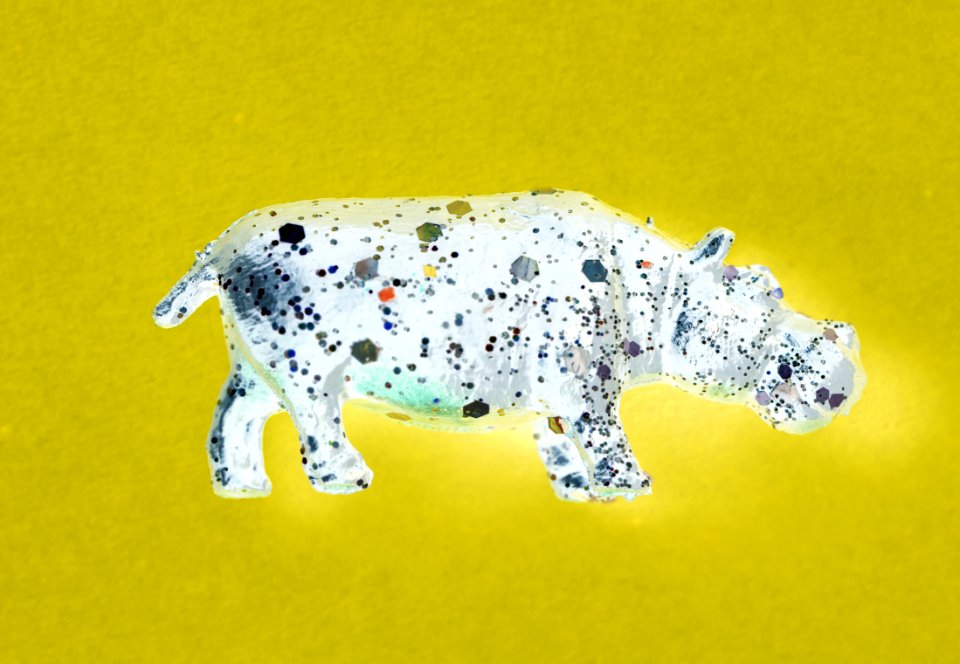 Aerial Animal Background