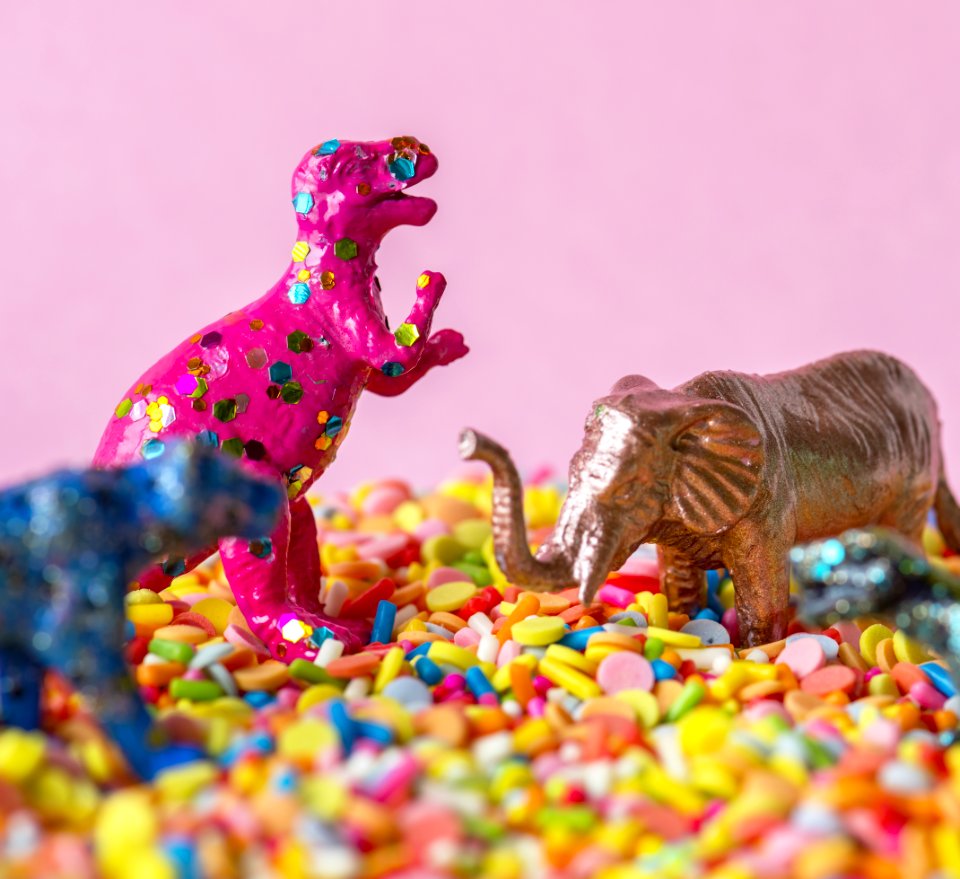 Animal Background Birthday