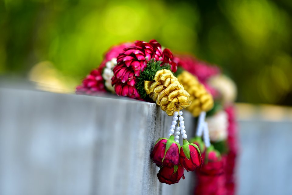 Selective Focus Photography Of Red Rose Flower Decor
