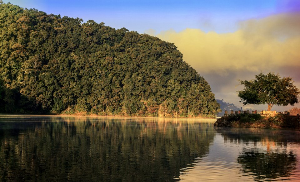 Mountain Covered With Trees Near Body Of Water