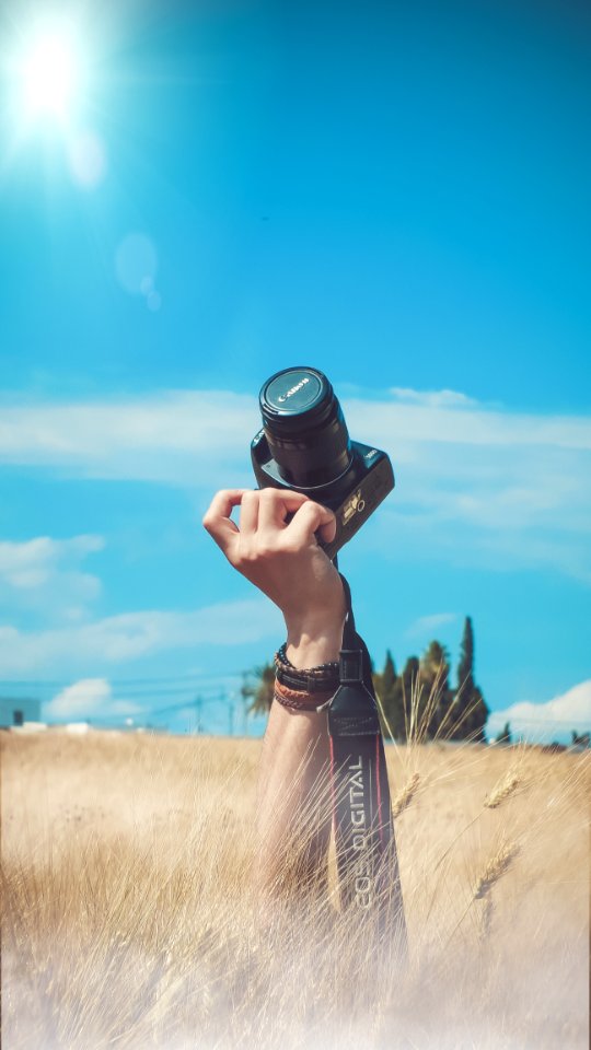 Person Holding Black Canon Dslr Camera Kit