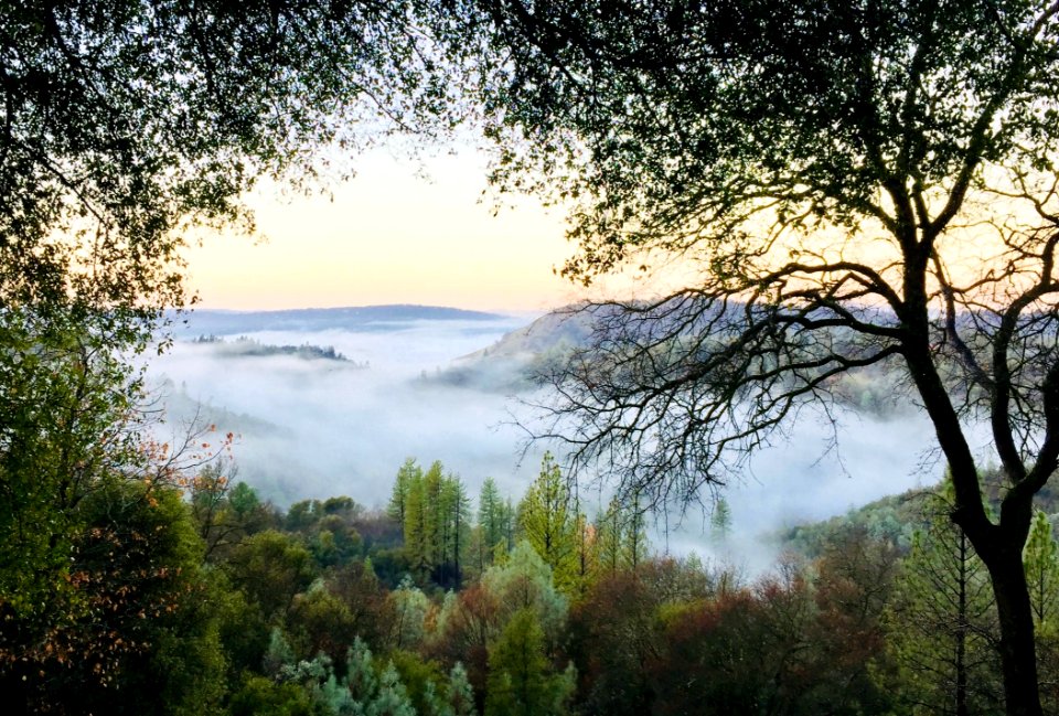 Photo Of Mountain Covered With Mist